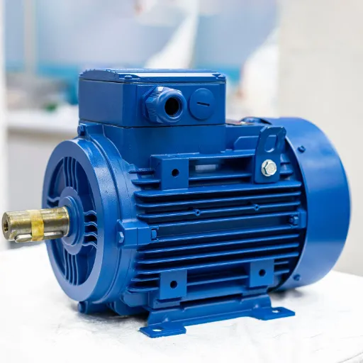 Introduction to Electric Motors