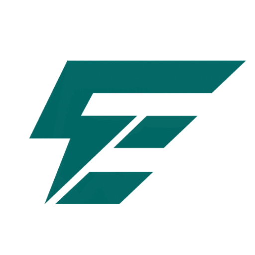 Shandong Electric Co., Ltd