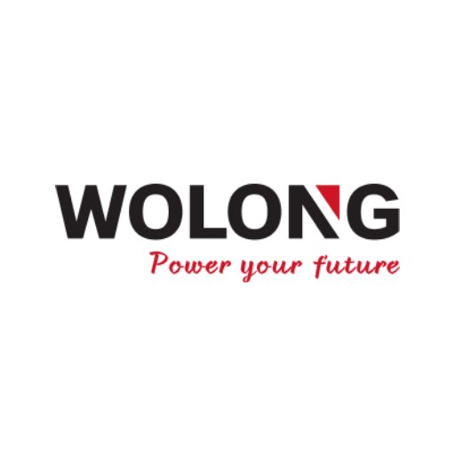 Wolong Electric Group Co., Ltd.